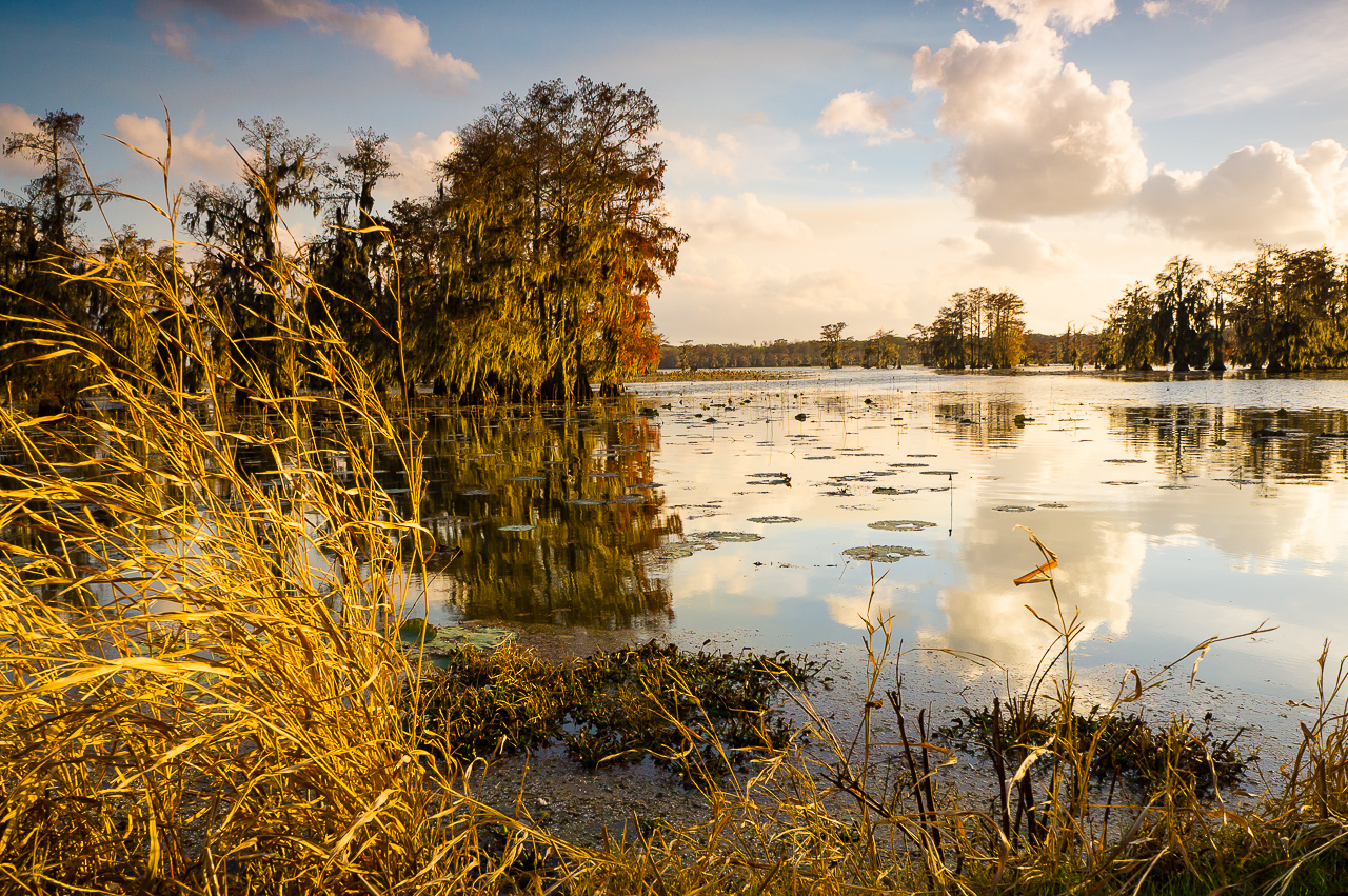 The soft evening sun created a beautiful reflection of the autumn sky on the surface of Lake Martin, Louisiana.