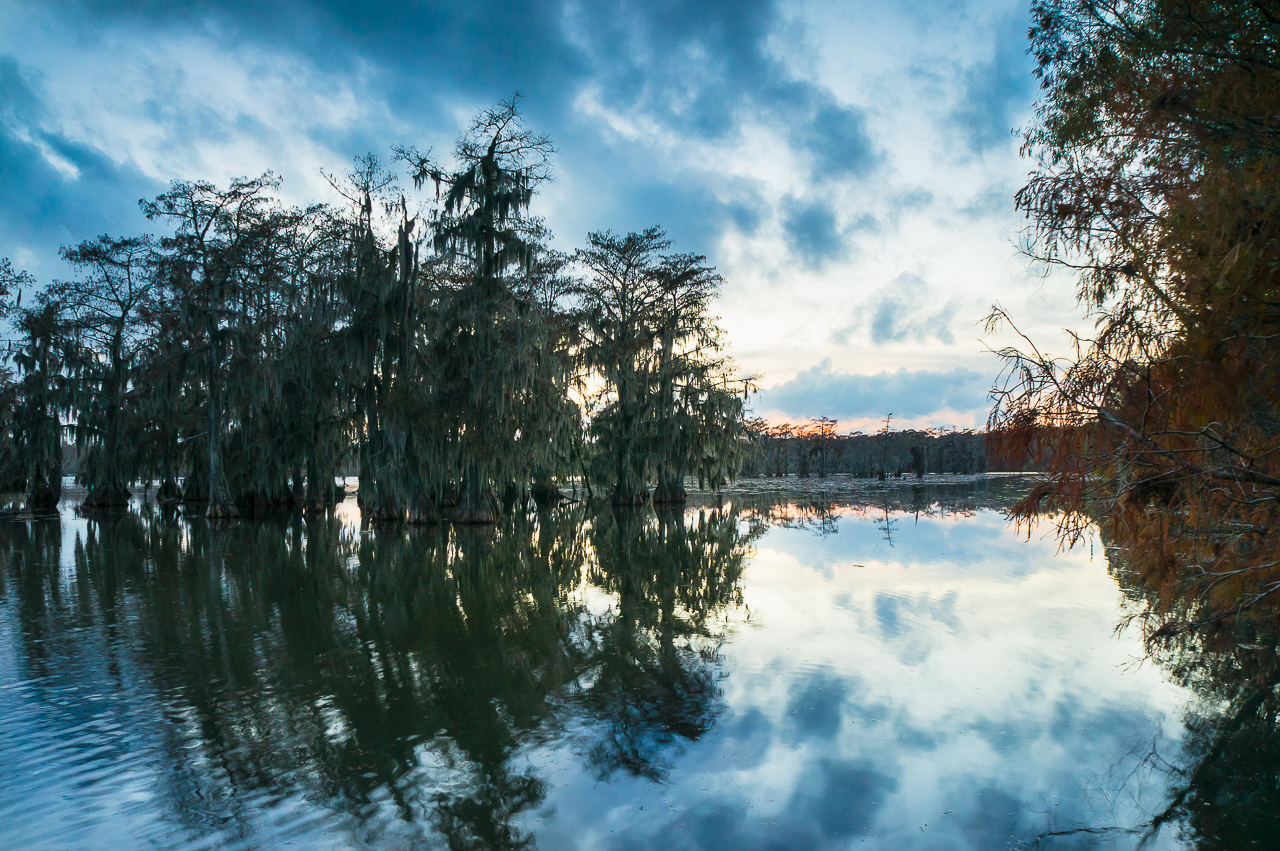 Dark clouds and bald cypress trees were reflected on Lake Martin in Louisiana,  right before the sunset on an autumn day.