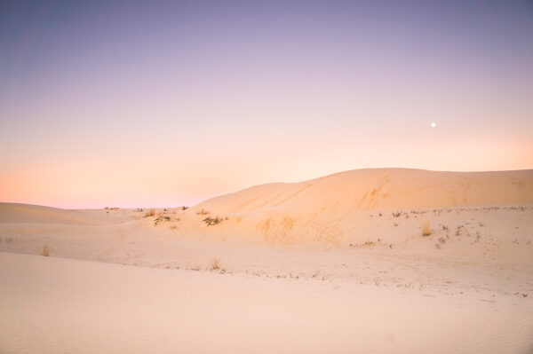 After the sun sinked below the horizon, beautiful twilight painted the sky over the Monahans Sandhills State Park in Texas.