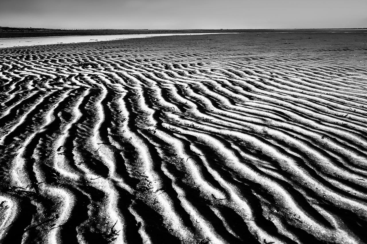 Waves left their patterns on a beach in Bolivar Peninsula in Texas where many shorebirds walk around.