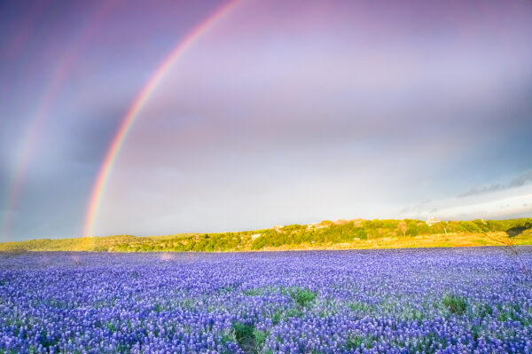 A double rainbow appeared in the sky over a field of bluebonnets by the Colorado River in Texas.