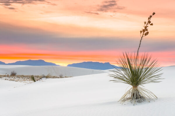 The sky changed its color from light pink to to reddish orange before the sun disappeared under the horizon in White Sands National Monument in New Mexico.