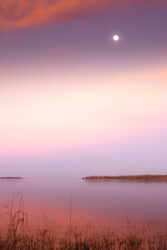 A moon was softly shining in twilight, creating a dreamy atmosphere at Lake Somerville State Park, Texas.