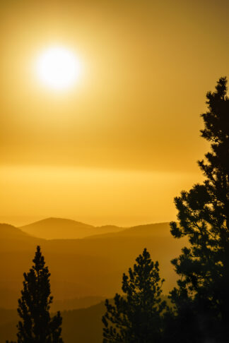 A golden sunrise painted the sky a yellow hue over the Rocky Mountains near Conifer, Colorado.