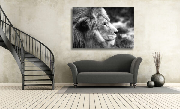 An image of a portrait of a majestic male African lion in black and white.