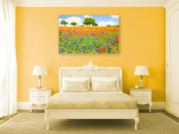 An image of a sunny wildflower field from Chappell Hill, Texas.