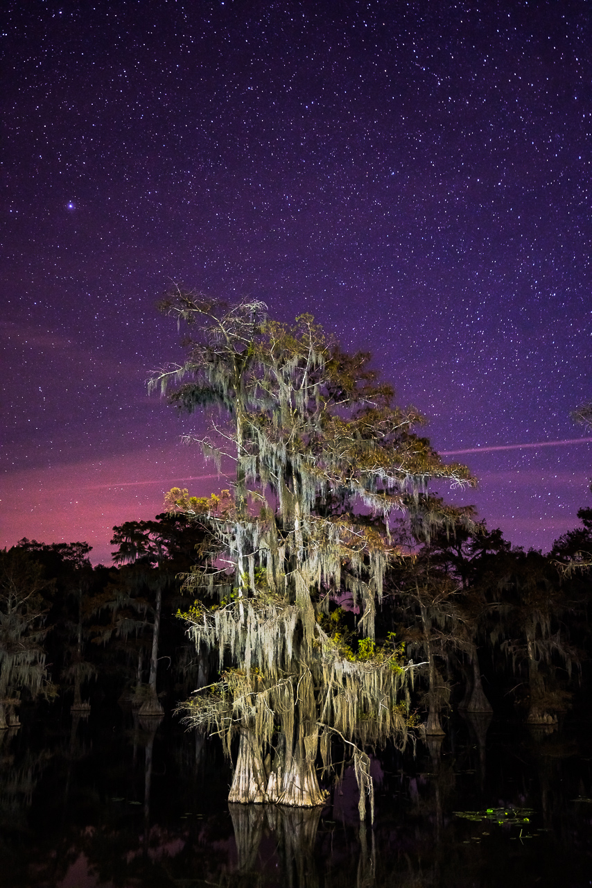 A bald cypress tree showed its unique and almost spooky look under a beautiful starry sky at Caddo Lake State Park in Texas.