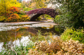 Autumn leaves decorated the Gapstow Bridge in Central Park, New York. The soft light from the thick clouds was falling on the leaves, making the bridge look almost glowing.