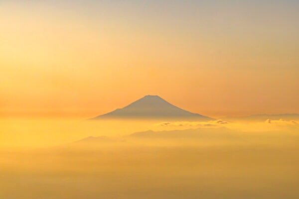 Beautiful silhouette of Mt. Fuji emerged above a sea of clouds in the evening sun in Japan.
