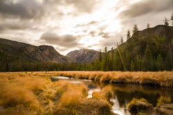 Mt. Craig was seen under the fast moving clouds at the East Meadow in Rocky Mountain National Park in Colorado on a windy autumn day. The strong gusts of wind rocked trees back and forth, causing eerie creaking sound coming out of the trees.