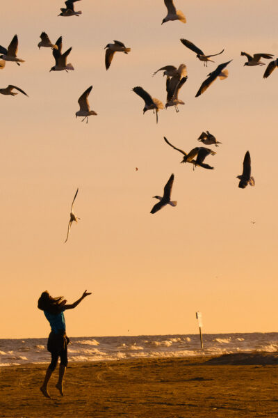 A girl was enjoying the company of seagulls on a popular beach in Galveston, Texas, before the sunset.