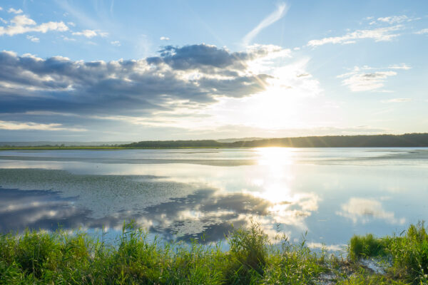 The reflection of beautiful evening sky was seen on the surface of Lake Shirarutoro in Kushiro Shitsugen National Park, the largest wetland in Japan.