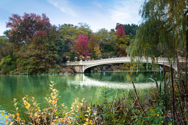 Autumn colors of trees decorate the Bow Bridge in Central Park in New York City.