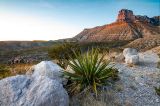 El Capitan in Guadalupe Mountains National Park in Texas was lit by the soft evening light.