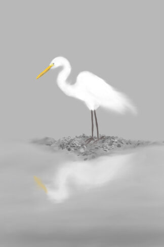 A beautiful great egret was standing still in the middle of wetland. This is the original artwork by Ellie Teramoto, digitally designed and painted based on a photograph that she took at Brazos Bend State Park near Houston, Texas.