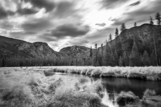 Mt. Craig was seen under the fast moving clouds at the East Meadow in Rocky Mountain National Park in Colorado on a windy autumn day. The strong gusts of wind rocked trees back and forth, causing eerie creaking sound coming out of the trees.